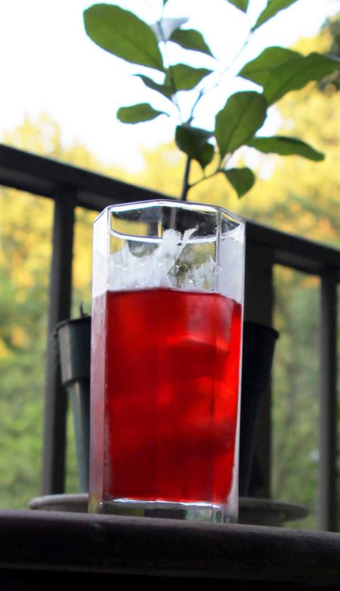 Reference photo of a Alabama Slammer