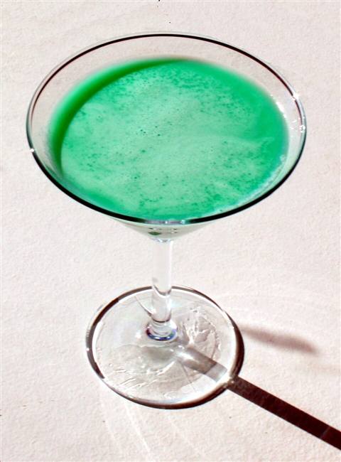 Reference photo of a Grasshopper