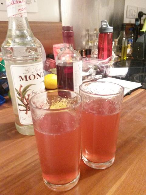 Reference photo of a Sloe Gin Fizz
