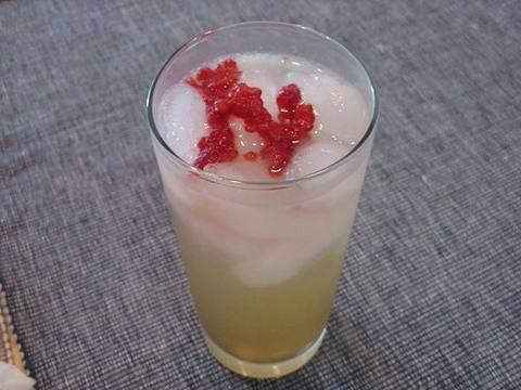 Reference photo of a Vodka Collins